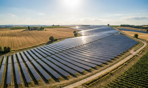 rentabilite-centrale-au-sol-2025